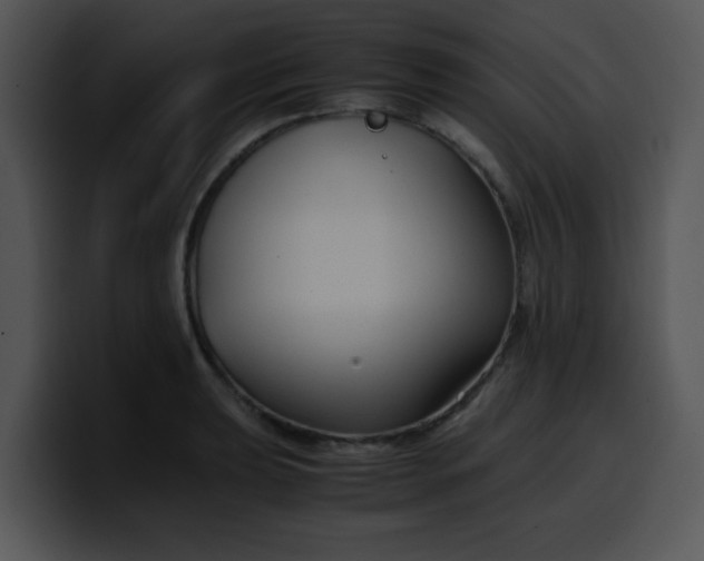 X0000099991039200806061540