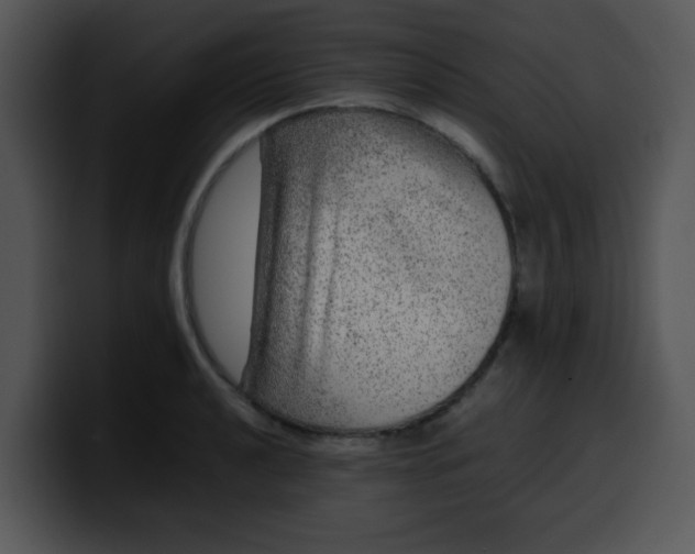 X0000099991040200806061540