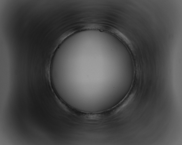 X0000099991041200806061540