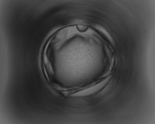 X0000099991043200806061540