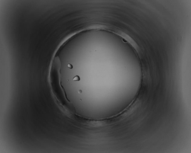 X0000099991044200806061540