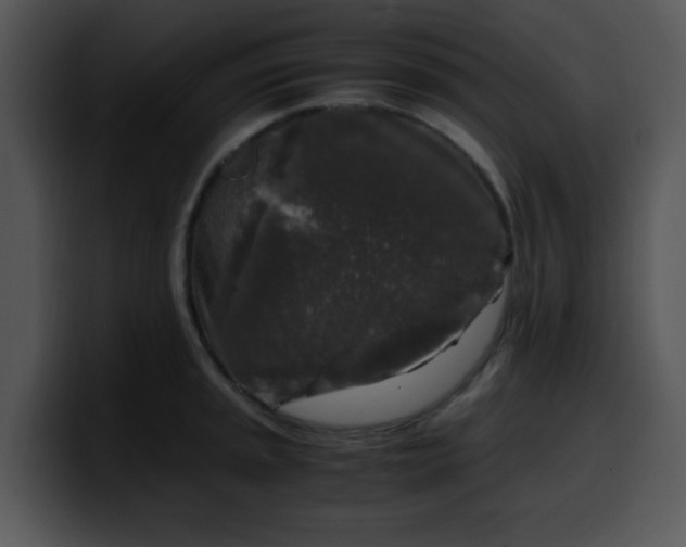 X0000099991045200806061540