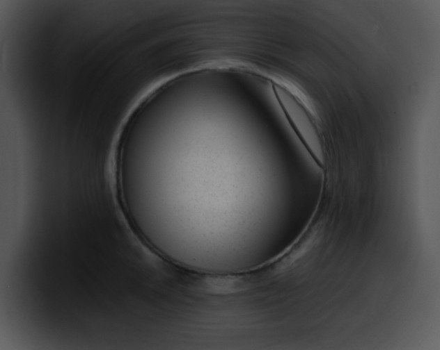 X0000099991046200806061540