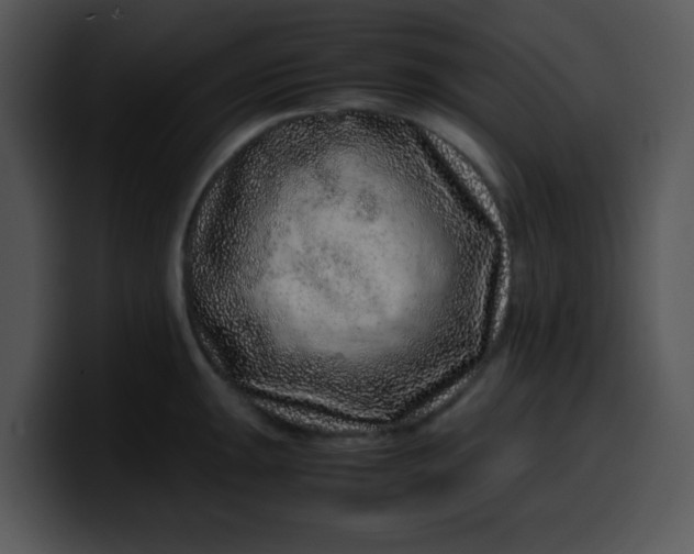 X0000099991047200806061540