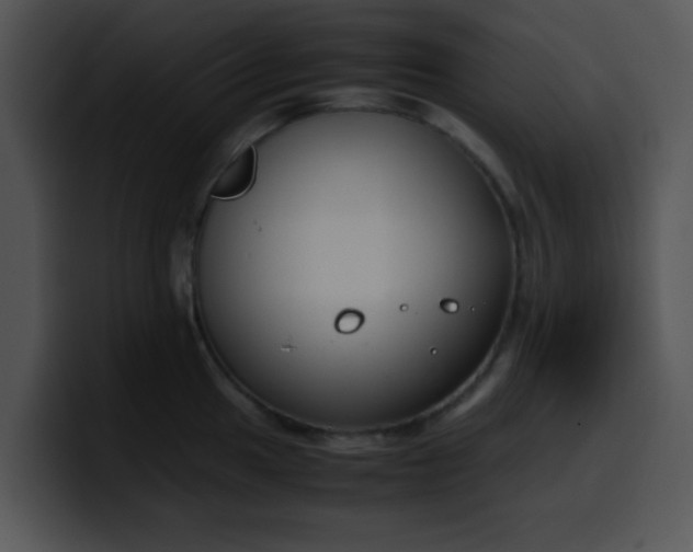 X0000099991049200806061540