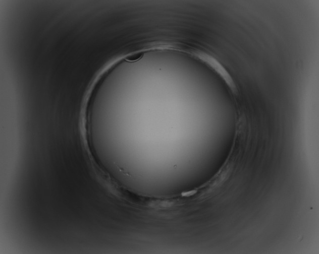 X0000099991051200806061540