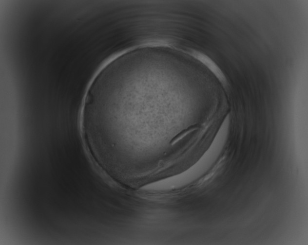 X0000099991052200806061540