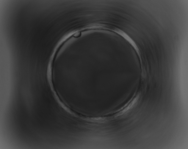 X0000099991053200806061540