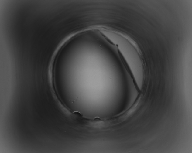 X0000099991054200806061540