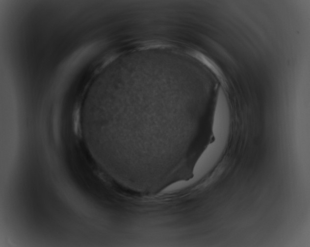 X0000099991055200806061540