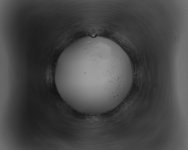 X0000099991058200806061540