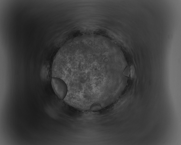 X0000099991059200806061540