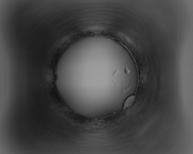 X0000099991062200806061540