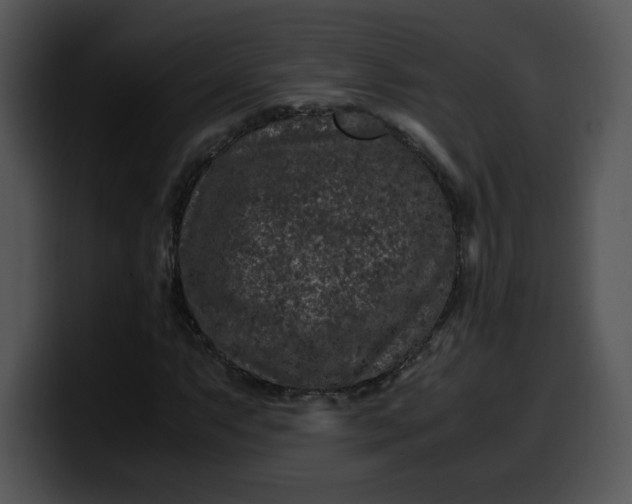 X0000099991063200806061540