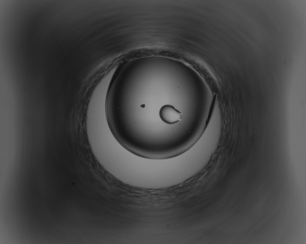 X0000099991064200806061540