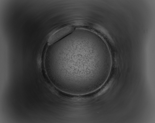 X0000099991065200806061540