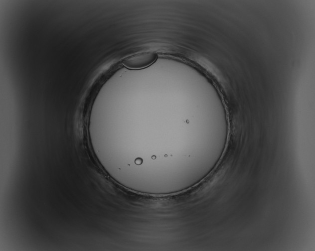 X0000099991067200806061540