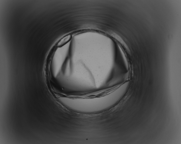 X0000099991068200806061540