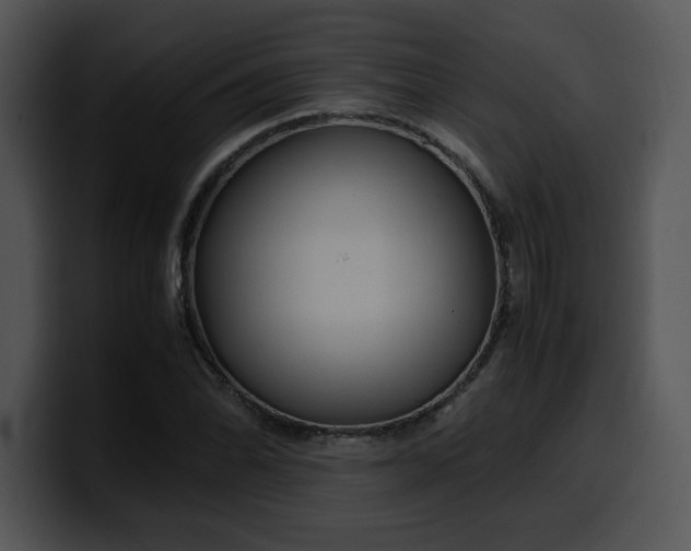 X0000099991070200806061539