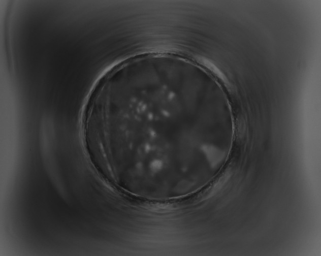 X0000099991071200806061539