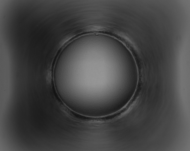 X0000099991073200806061539