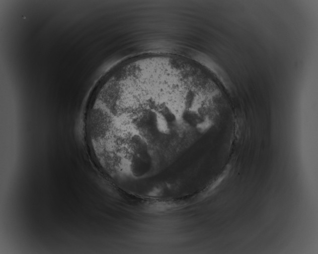 X0000099991074200806061539