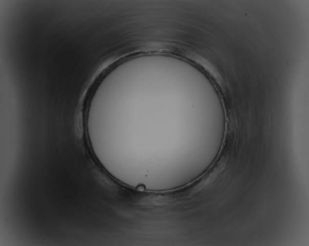 X0000099991075200806061539