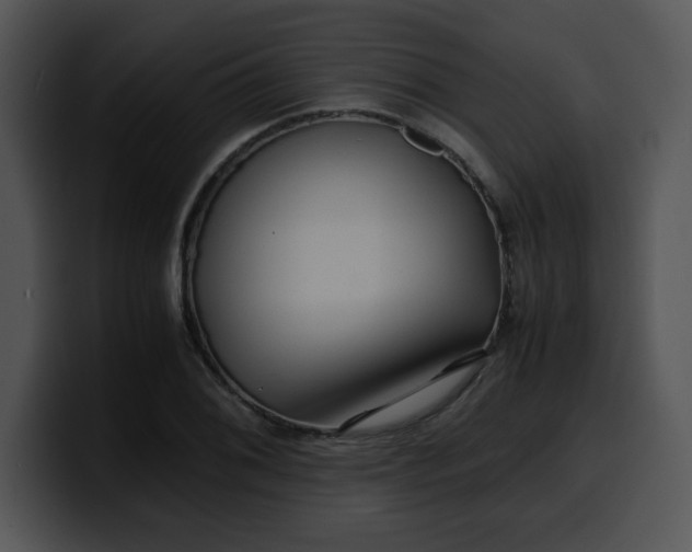 X0000099991076200806061539