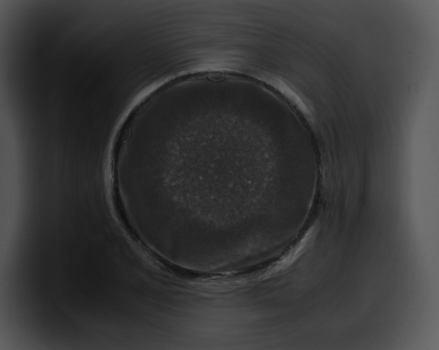 X0000099991077200806061539