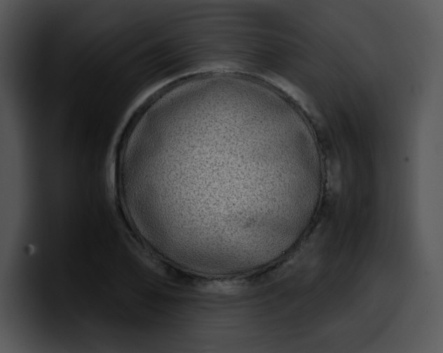 X0000099991078200806061539