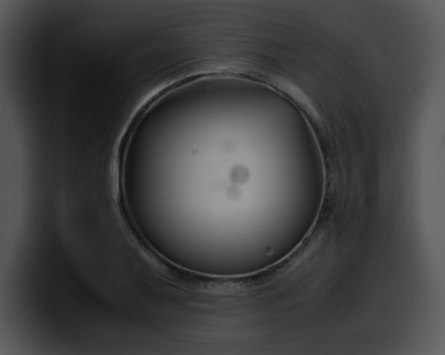 X0000099991079200806061539