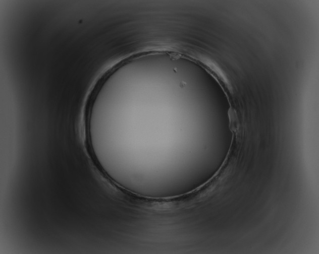 X0000099991080200806061539