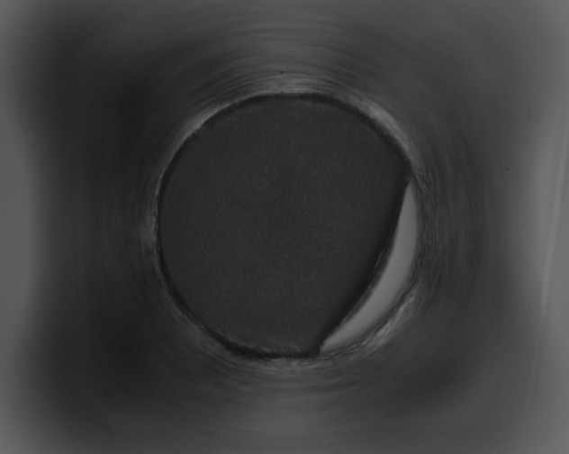 X0000099991081200806061539