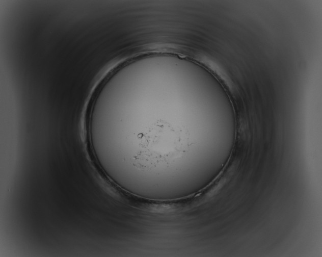 X0000099991082200806061539