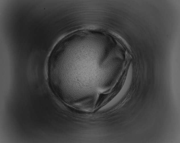 X0000099991083200806061539