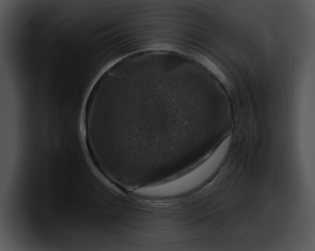 X0000099991084200806061539