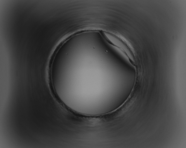 X0000099991085200806061539