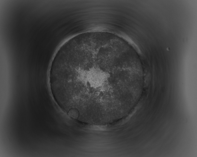 X0000099991086200806061539