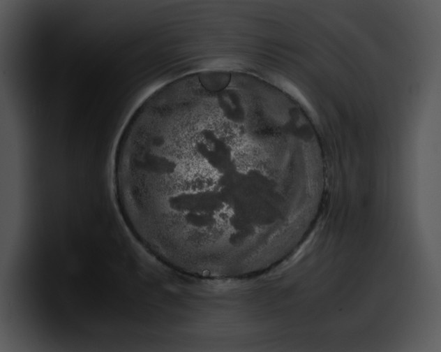 X0000099991087200806061539