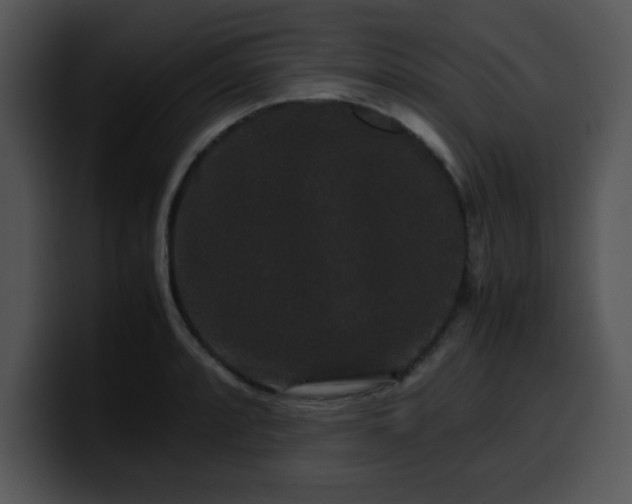 X0000099991088200806061539