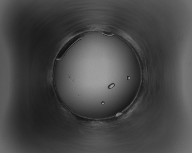 X0000099991089200806061539