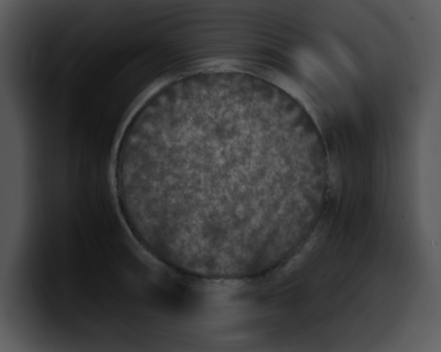 X0000099991090200806061539