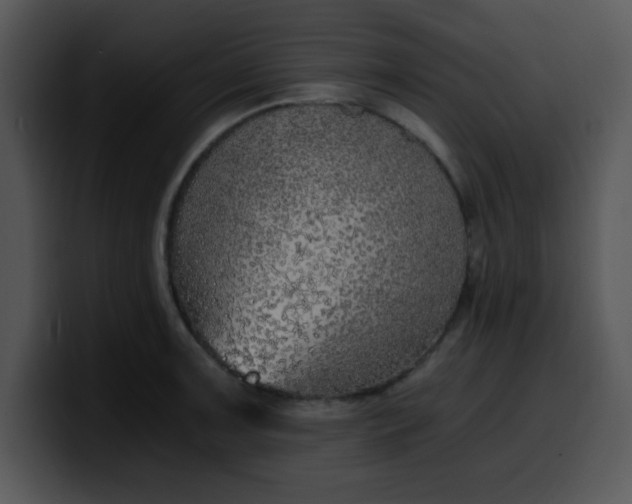 X0000099991091200806061539