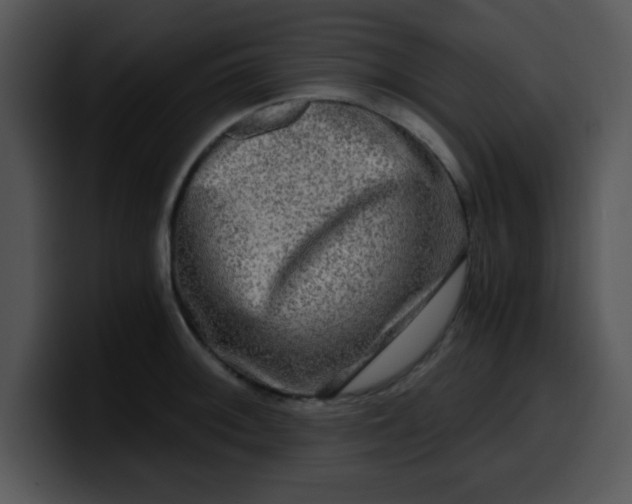 X0000099991092200806061539