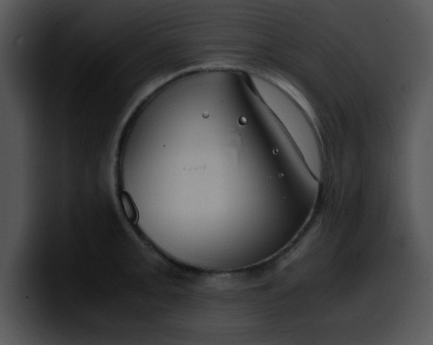 X0000099991093200806061539