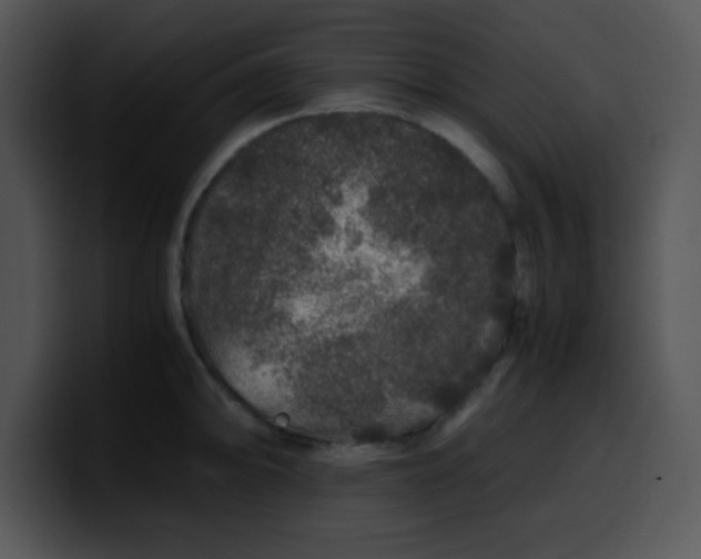 X0000099991094200806061539