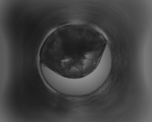 X0000099991095200806061539