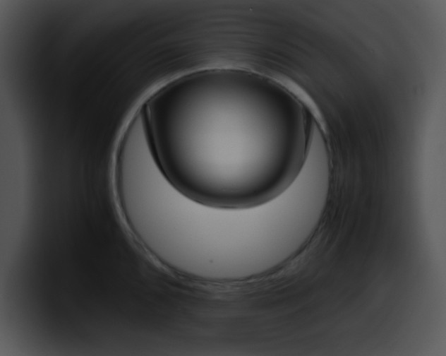 X0000099991096200806061539