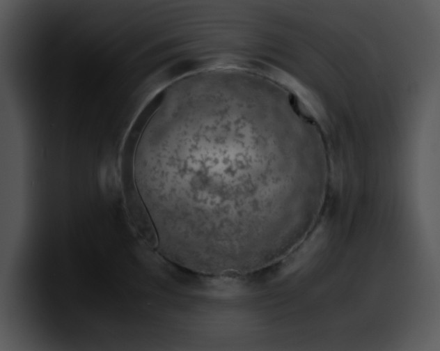 X0000099991097200806061539