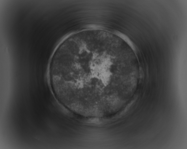 X0000099991098200806061539